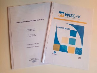 QI enfant adulte val d'oise avis